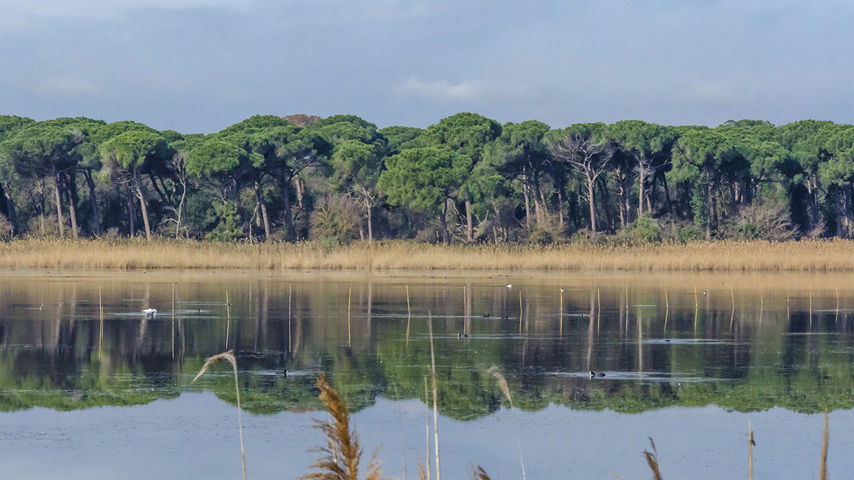 Escursioni in natura in collaborazione con Atlantide